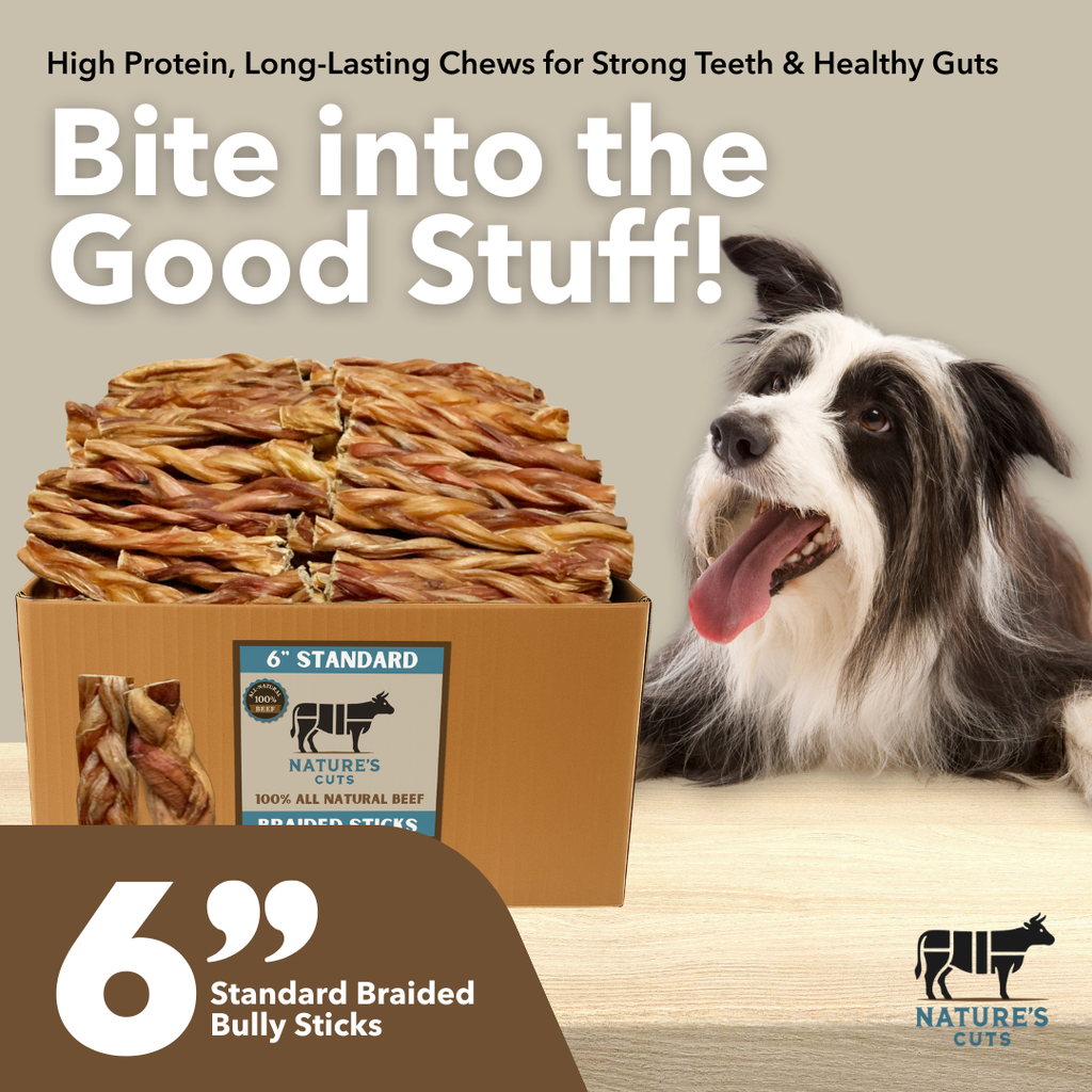 6" Standard Braided Bully Sticks