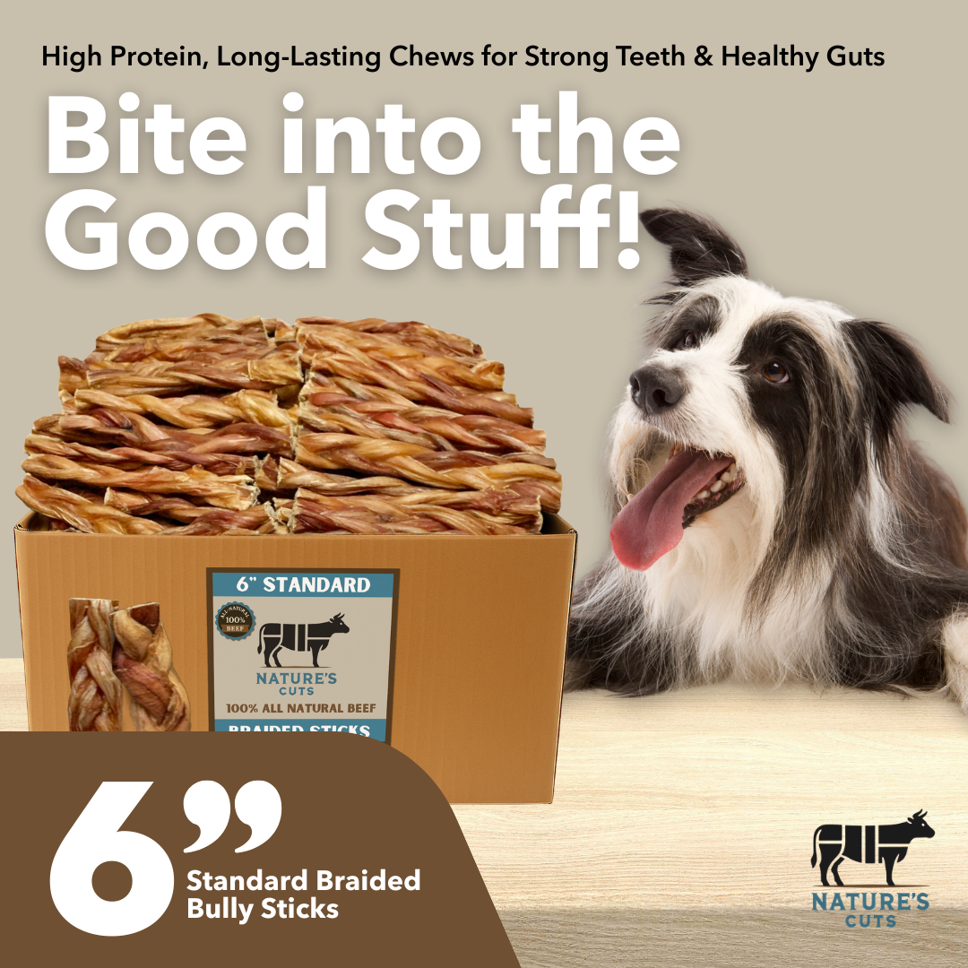 6" Standard Braided Bully Sticks