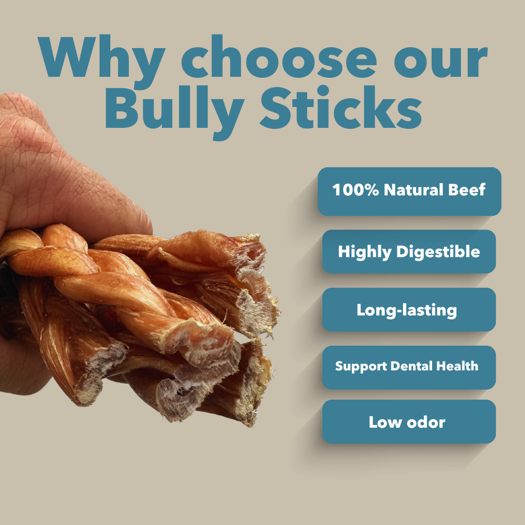 6" Standard Braided Bully Sticks