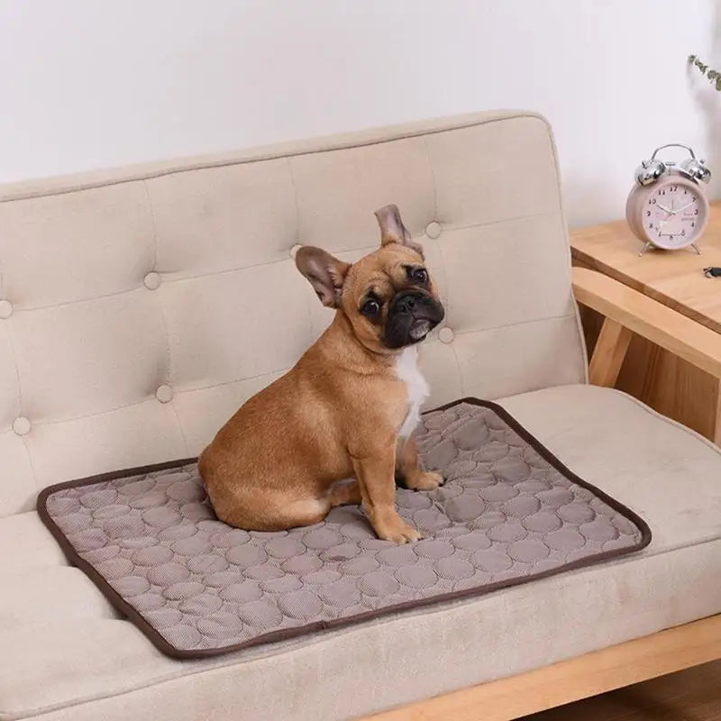 Cooling Dog Mat Summer Pad for Pets