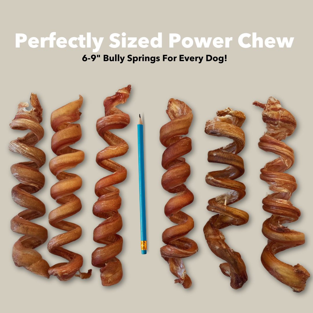 6-9" Bulk Bully Springs