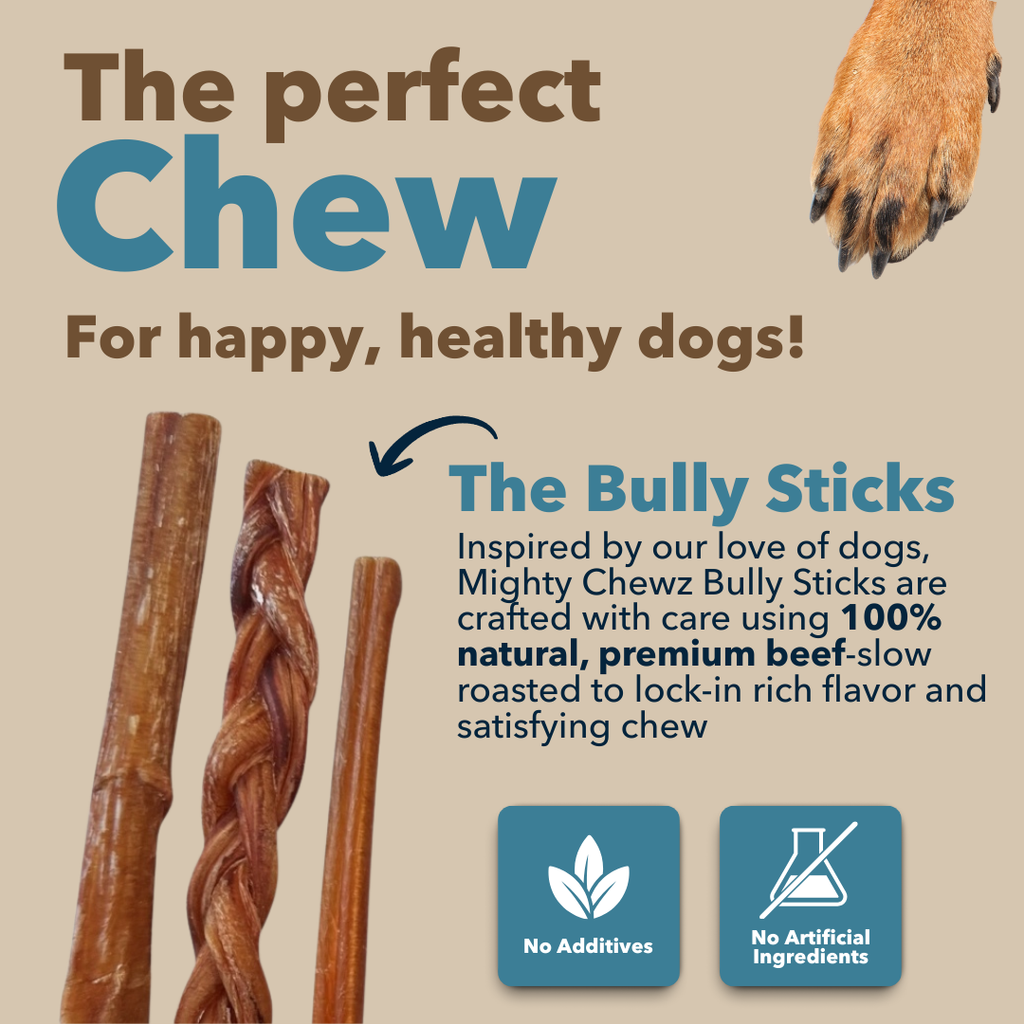6" Standard Braided Bully Sticks